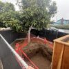 Temporary Fencing (LA, OC, SD only)