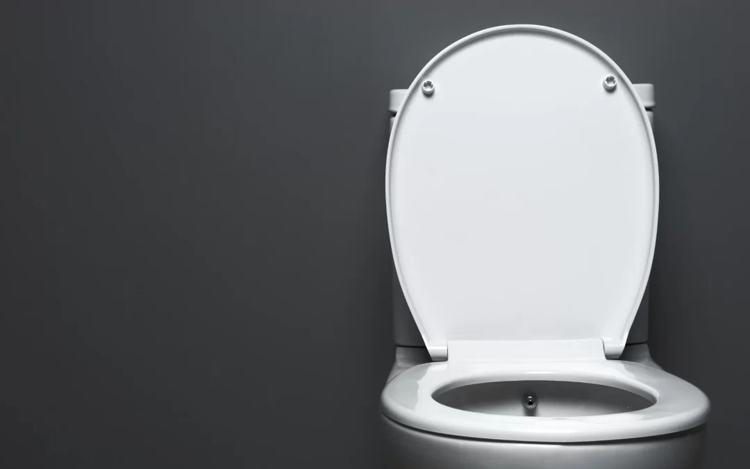 Clean white toilet seat inside a modern restroom showing sanitation and hygiene standards